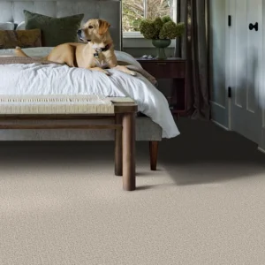 Beige Mist