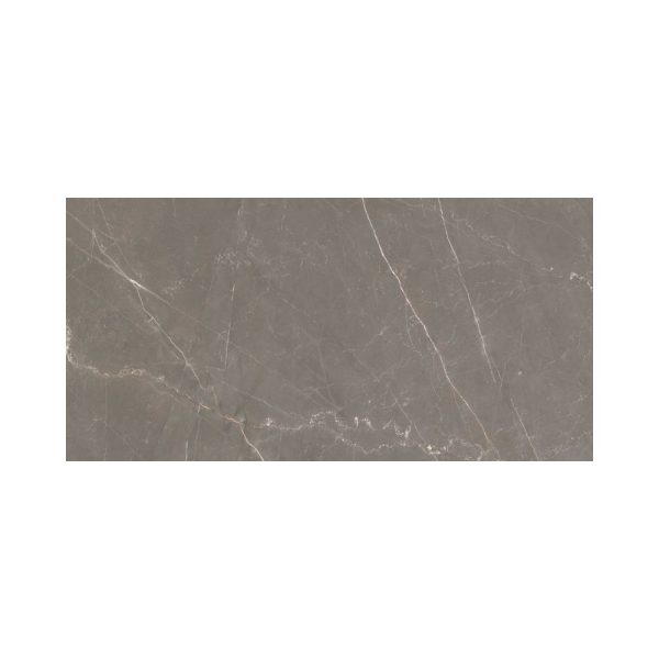 Bronze Amani 24X48 Polished