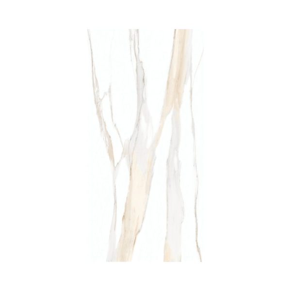 Calacatta Gold 24X48 Matte