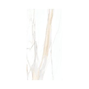 Calacatta Gold 24X48 Polished