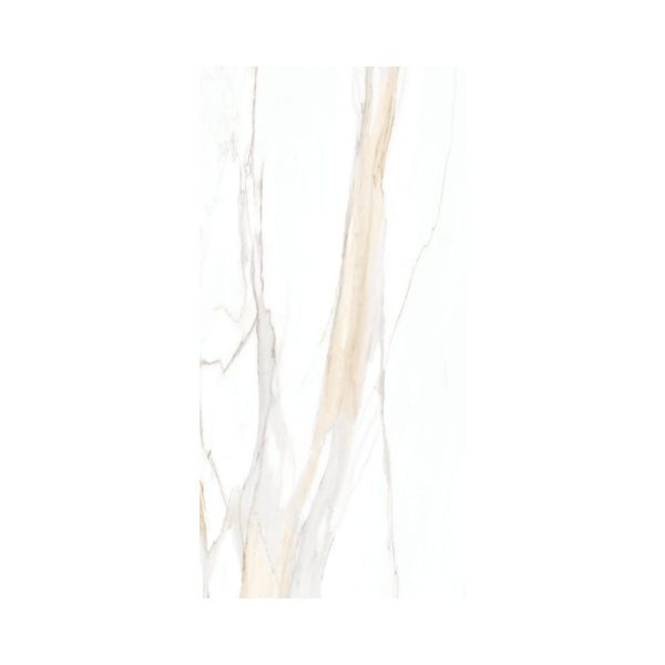 Calacatta Gold 24X48 Polished