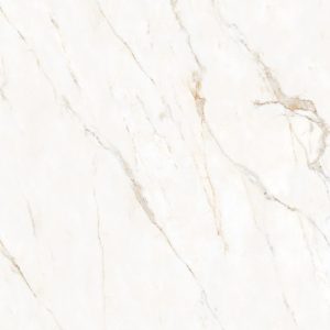 Calacatta Oro 48X48 Honed Matte