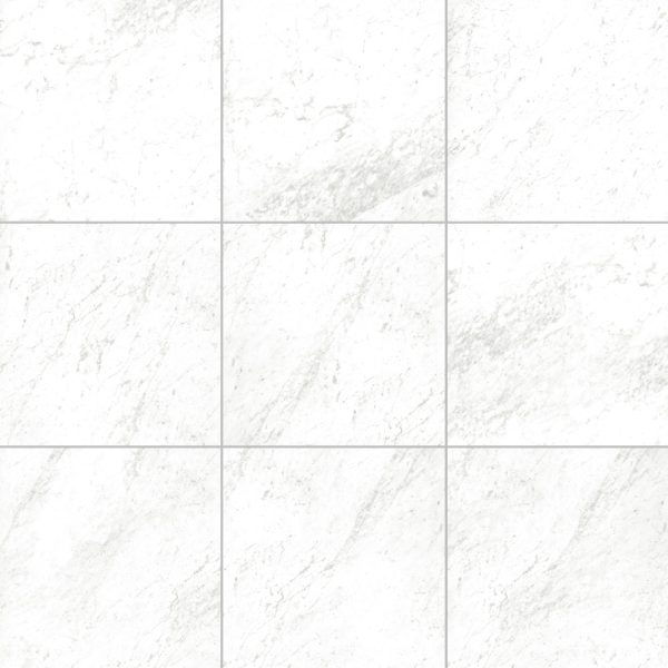 Carrara 12X12 Matte