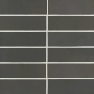 Celine 2" x 6" Matte Porcelain Floor & Wall Tile in Black