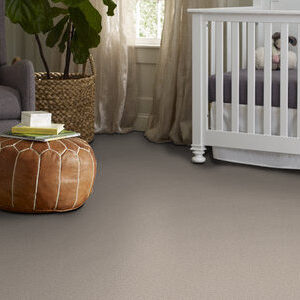 Chic Taupe