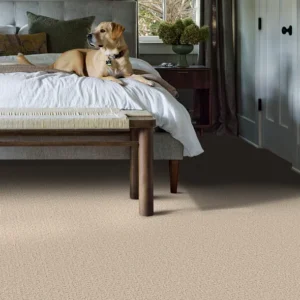 Dune View