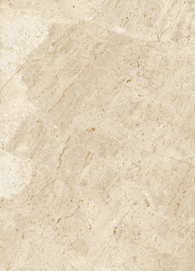 Eggshell 12x24