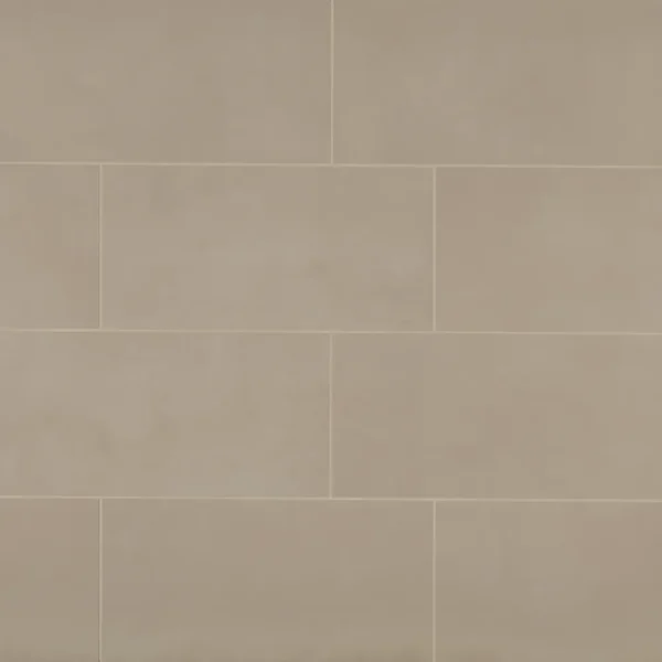Sahara 12" x 24" Matte Porcelain Tile in Taupe