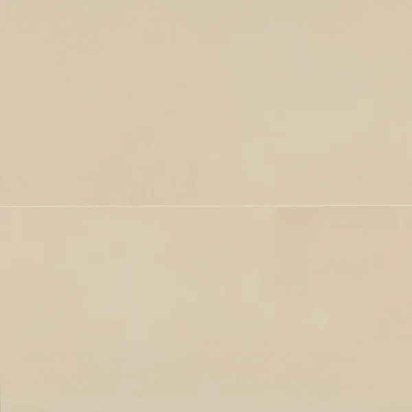 Sahara 24" x 48" Matte Porcelain Tile in Ecru