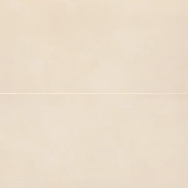 Sahara 24" x 48" Matte Porcelain Tile in White