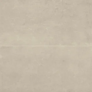 Thaddeus 24" x 48" Matte Porcelain Tile in Almond