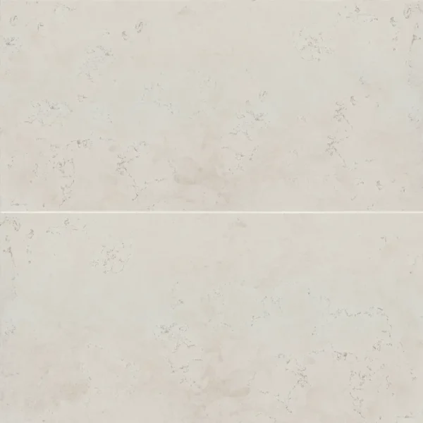 Thaddeus 24" x 48" Matte Porcelain Tile in White