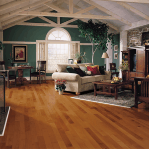Cinnamon 3.25″