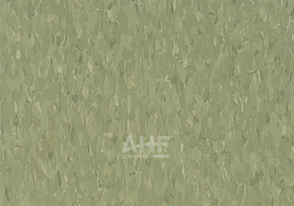 Green Olive