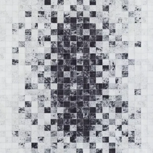 Prairie Hygee Blocks  Coal-Ice Caps