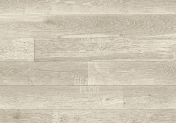 STELLAR OAK CREAM