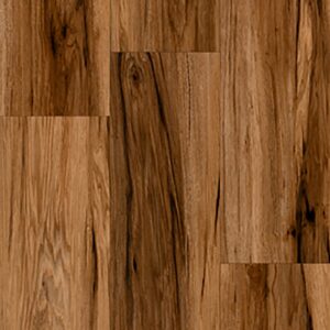 Spicebark Hickory Comino