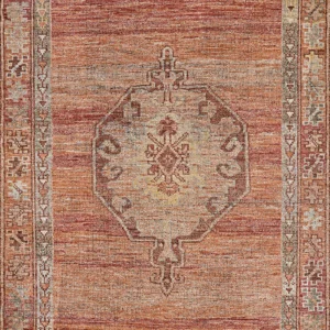 Desi Udaipur  Rust