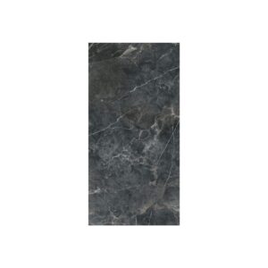 Black Shine 12X24 Polished