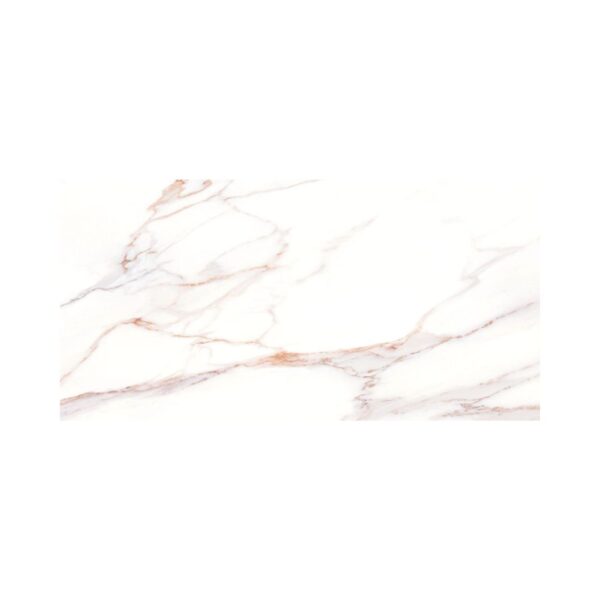 Cava 24X48 Polished