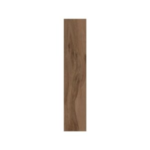 Cinnamon 8X40