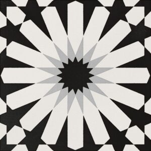 Etna Aster Blk & Wht 8X8 Matte