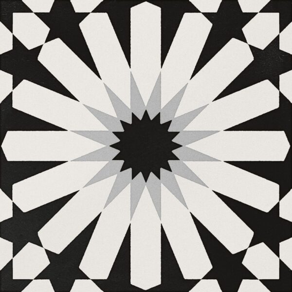 Etna Aster Blk & Wht 8X8 Matte