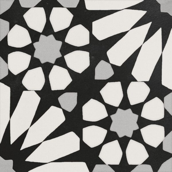Etna Big Aster Blk & Wht 8X8 Matte
