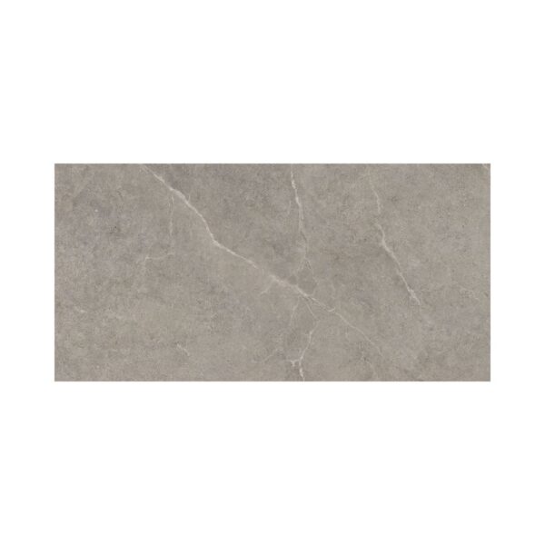 Greige 24X48 Matte