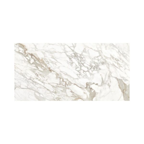 Grey 24X48 Polished