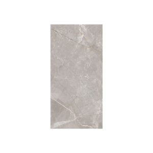 Grey Shine 12X24 Polished