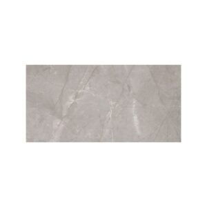 Grey Shine 24X48 Polished