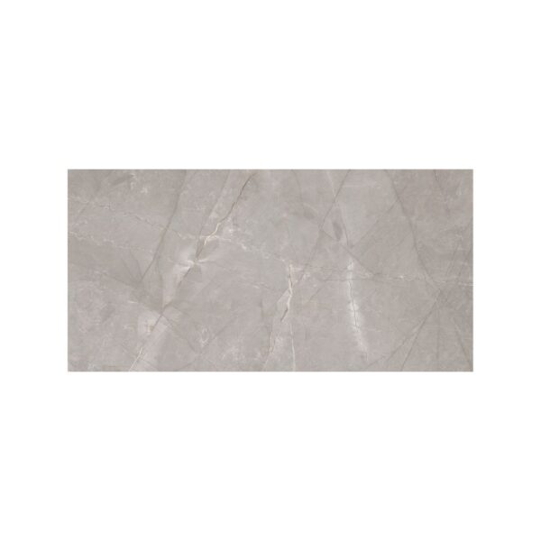 Grey Shine 24X48 Polished