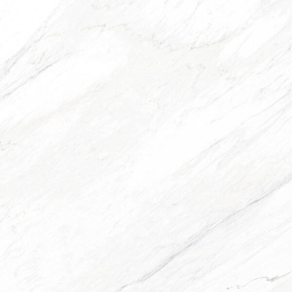 Luxe White 48X48 Honed Matte