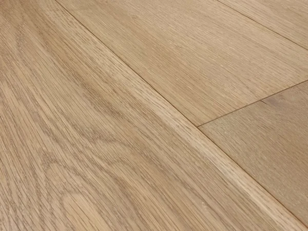 Meadow WHITE OAK DANDELION