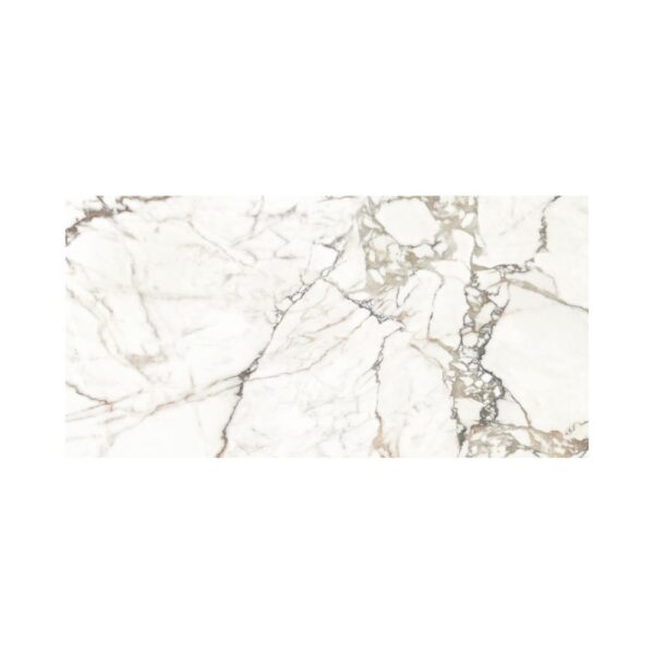 Oro 24X48 Polished
