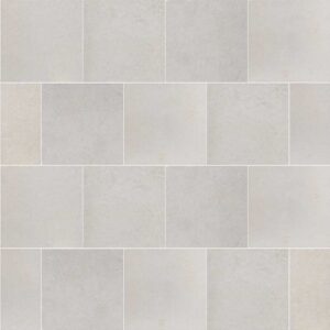 Salina 8X8