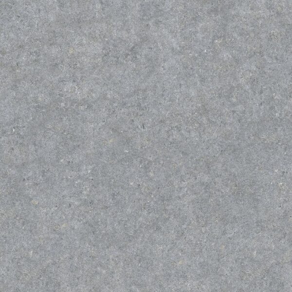 Shell Beach 48X48 Polished