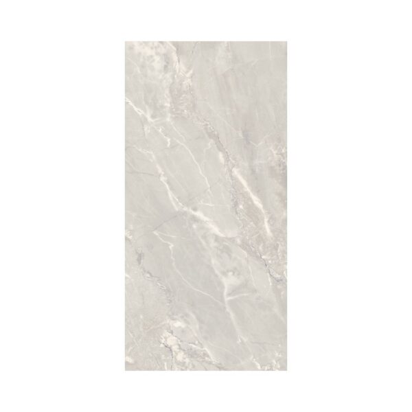 Silver 12X24 Matte