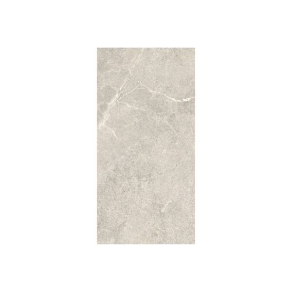 Silver 12X24 Matte