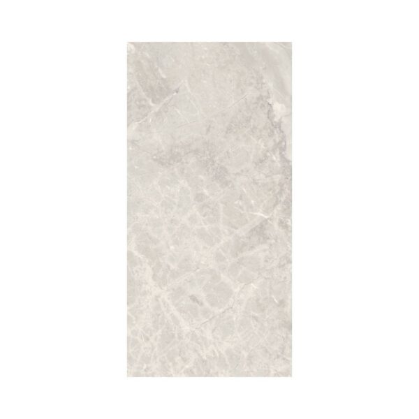 Silver 12X24 Polished