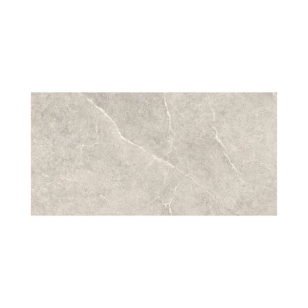 Silver 24X48 Matte