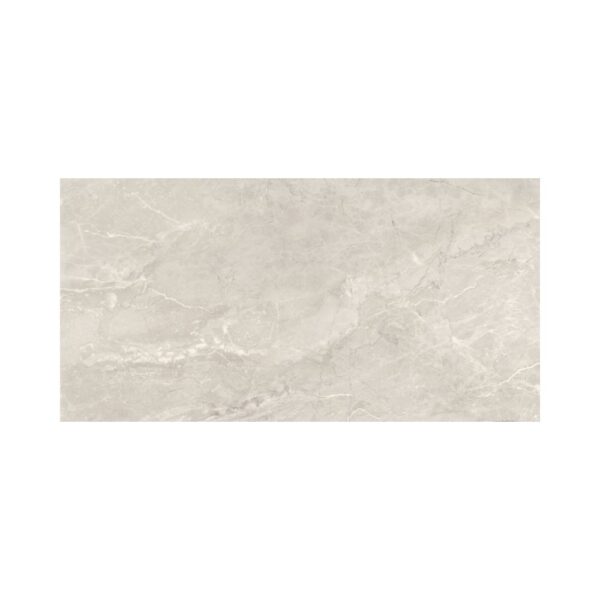 Silver 24X48 Polished