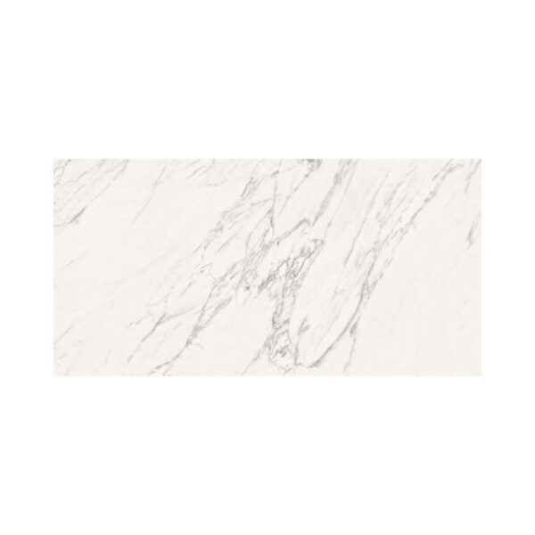 Venatino 24X48 Polished