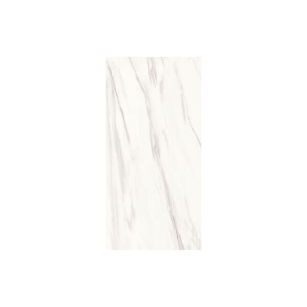 Venato 12X24 Matte