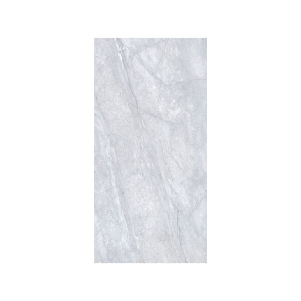 Bardiglio 24X48 Polished