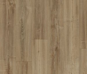 Burnished Chestnut