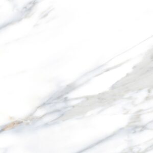 Calacatta 24X24 Matte