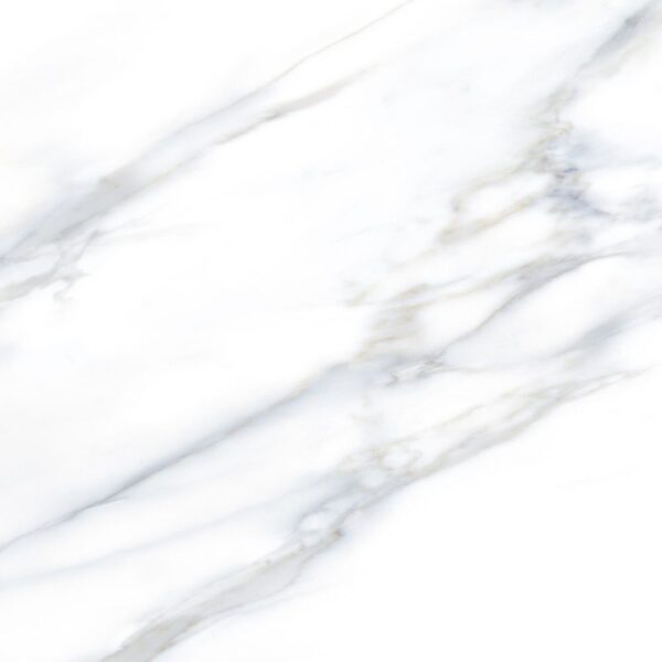 Calacatta 24X24 Polished