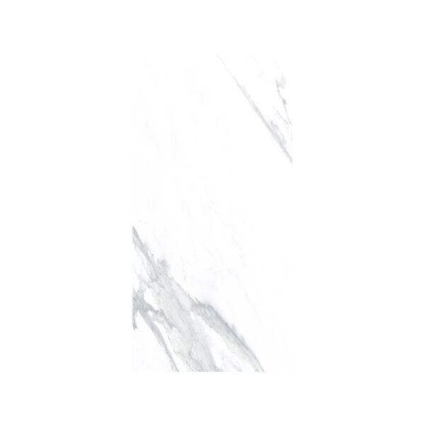 Calacatta 24X48 Polished